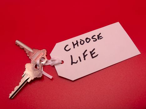 Unlocking the Secrets of Player Psychology: Motivations & Decisions
